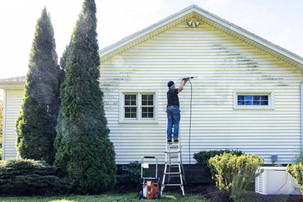 Roof Power Washing Services in Lisle, IL